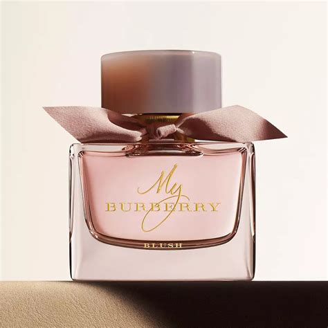 the burberry silver packaging cologne|Burberry cologne for women.